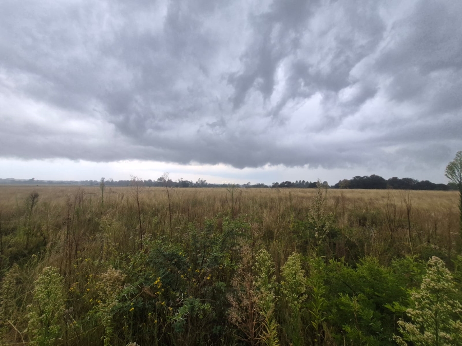 0 Bedroom Property for Sale in Vaalpark Free State